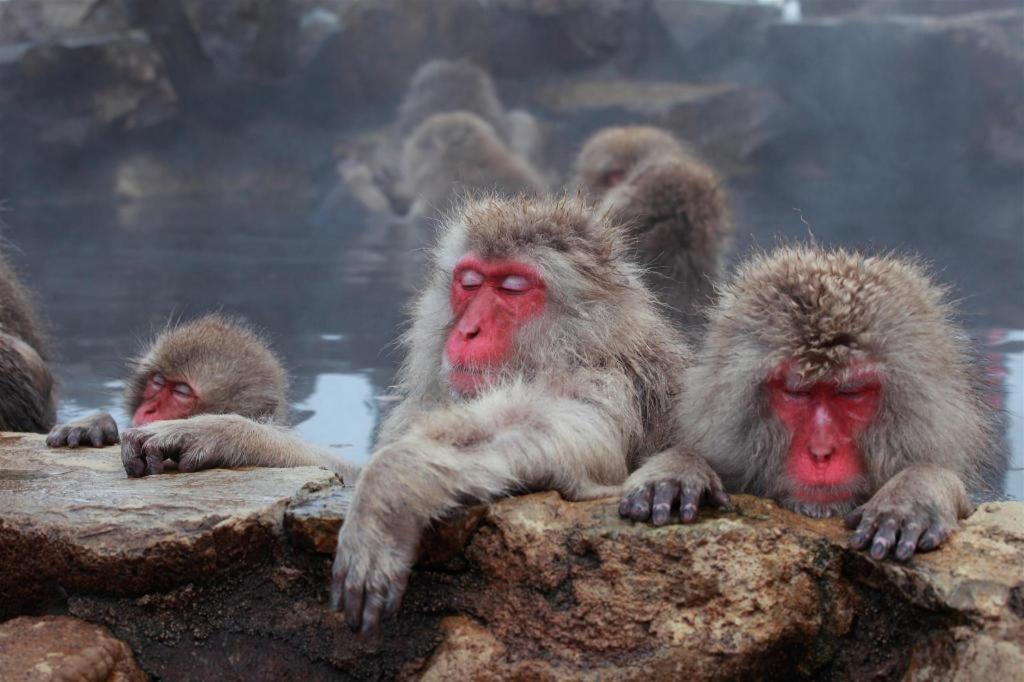 ヴィラ　アルペン 山ノ内町 エクステリア 写真